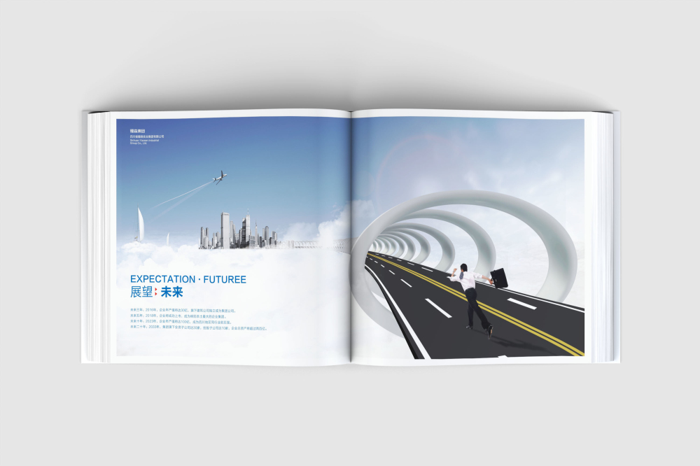 袁州区画册设计